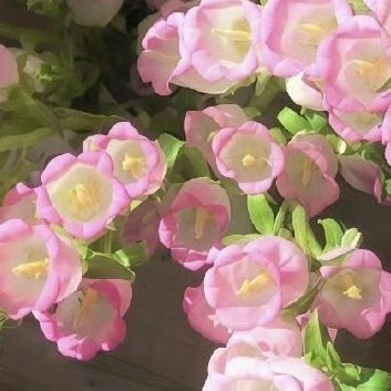 阳光信用‎阳光‎信用 ‎每日一善 每一分收获，都来自你坚持不懈的努力；每一分汗水