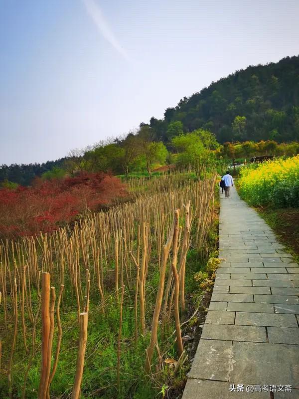 马踏春风来，踏青赴春约。到大自然中去饱览祖国的大好风光，沐浴春晖，吐故纳新，聚天