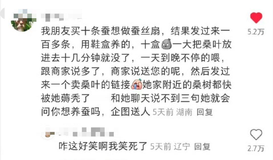你想养蚕吗？哈哈哈哈哈哈哈哈哈哈 ​​​