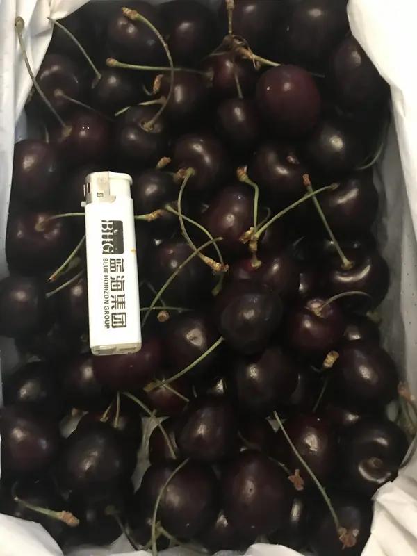 网购4J车厘子收到空文件！37人集体被骗，商家跑路套路太狠，维权这样做
 
“满