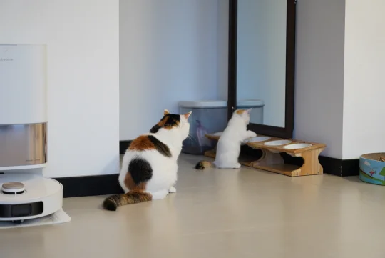 果然尊老爱幼不是说说而已