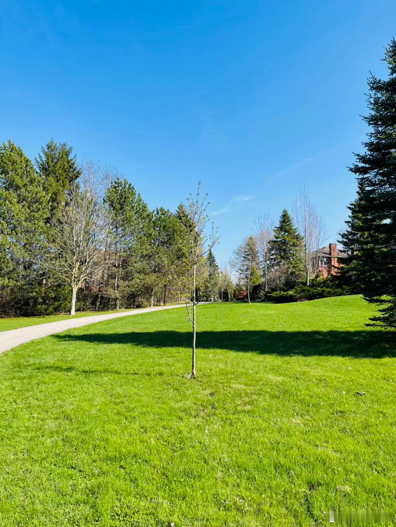 回加两天了，依然在倒时差里打转。比起去欧洲，与中国12个小时的时差，日夜相反的时