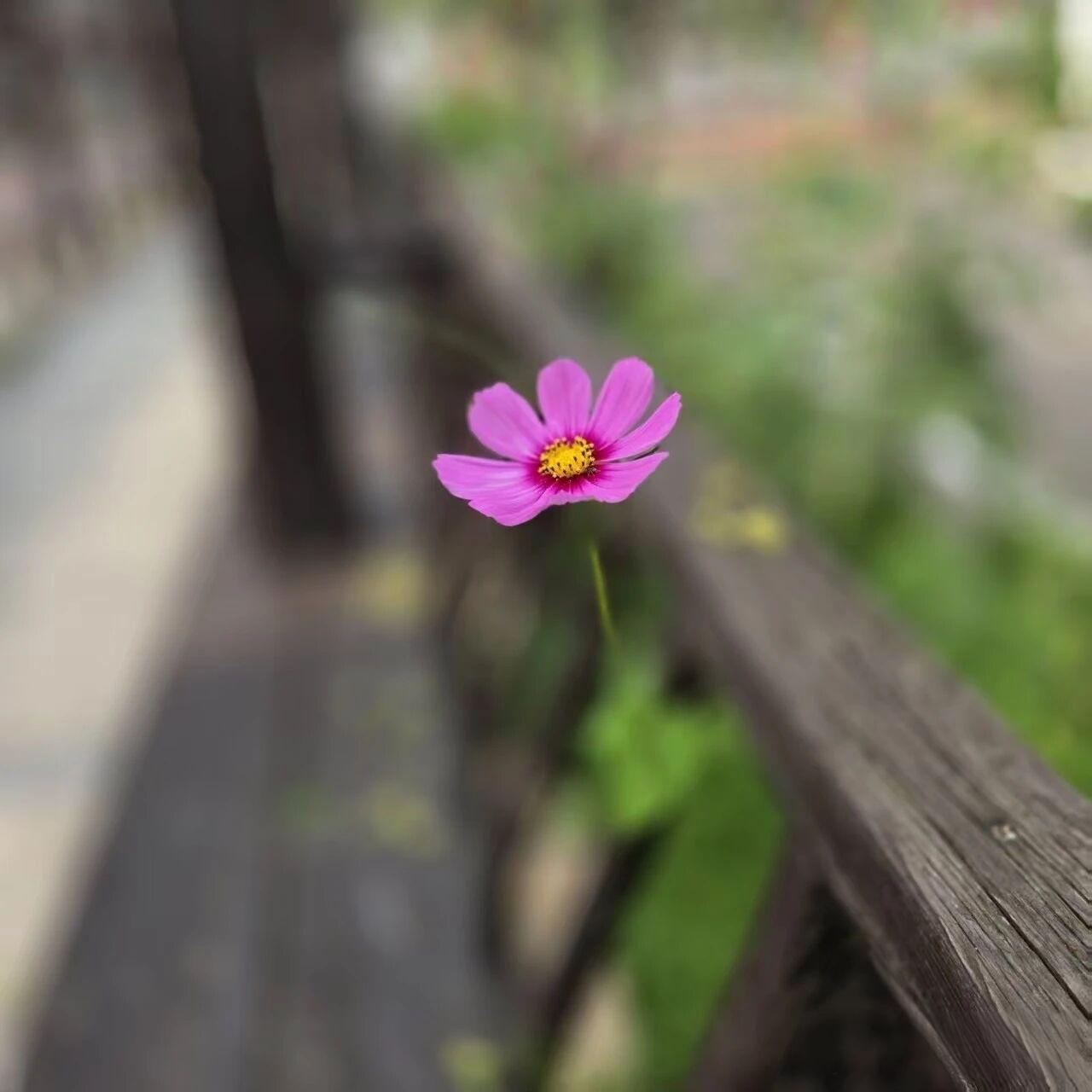 一位母亲的感慨戳中了很多人。她说：“我总算明白，人不为己，天诛地灭。女儿暑假回来