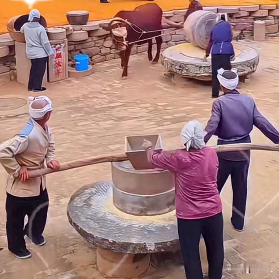 30年前计划生育的时候，偷着生孩子。30年前放开了，又没人生了。你们觉得是什么原