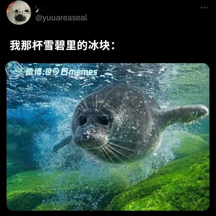 好清爽（yuuareaseal）今日meme[超话] 今日memes ​​​