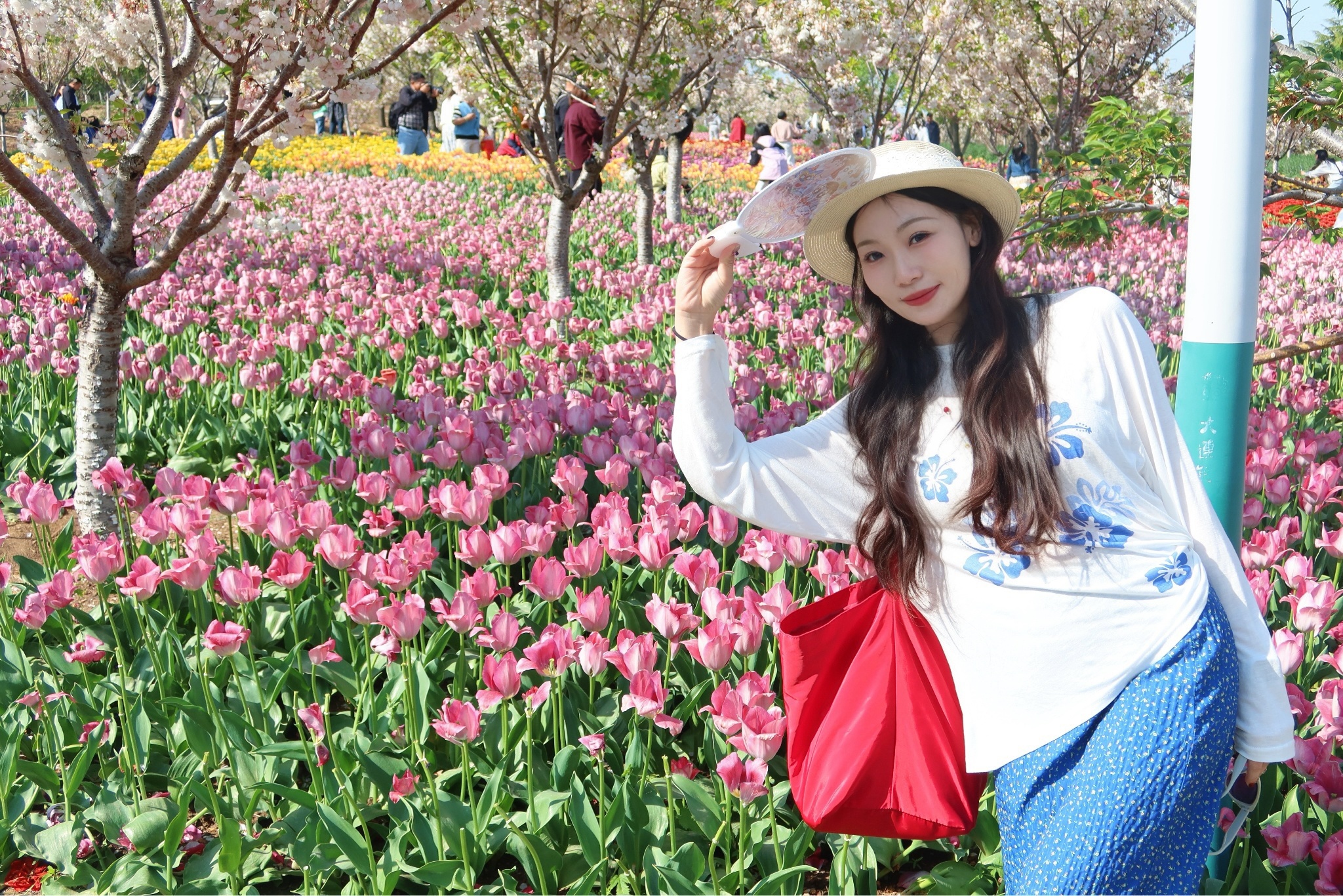 莫奈花园🌷  ​​​