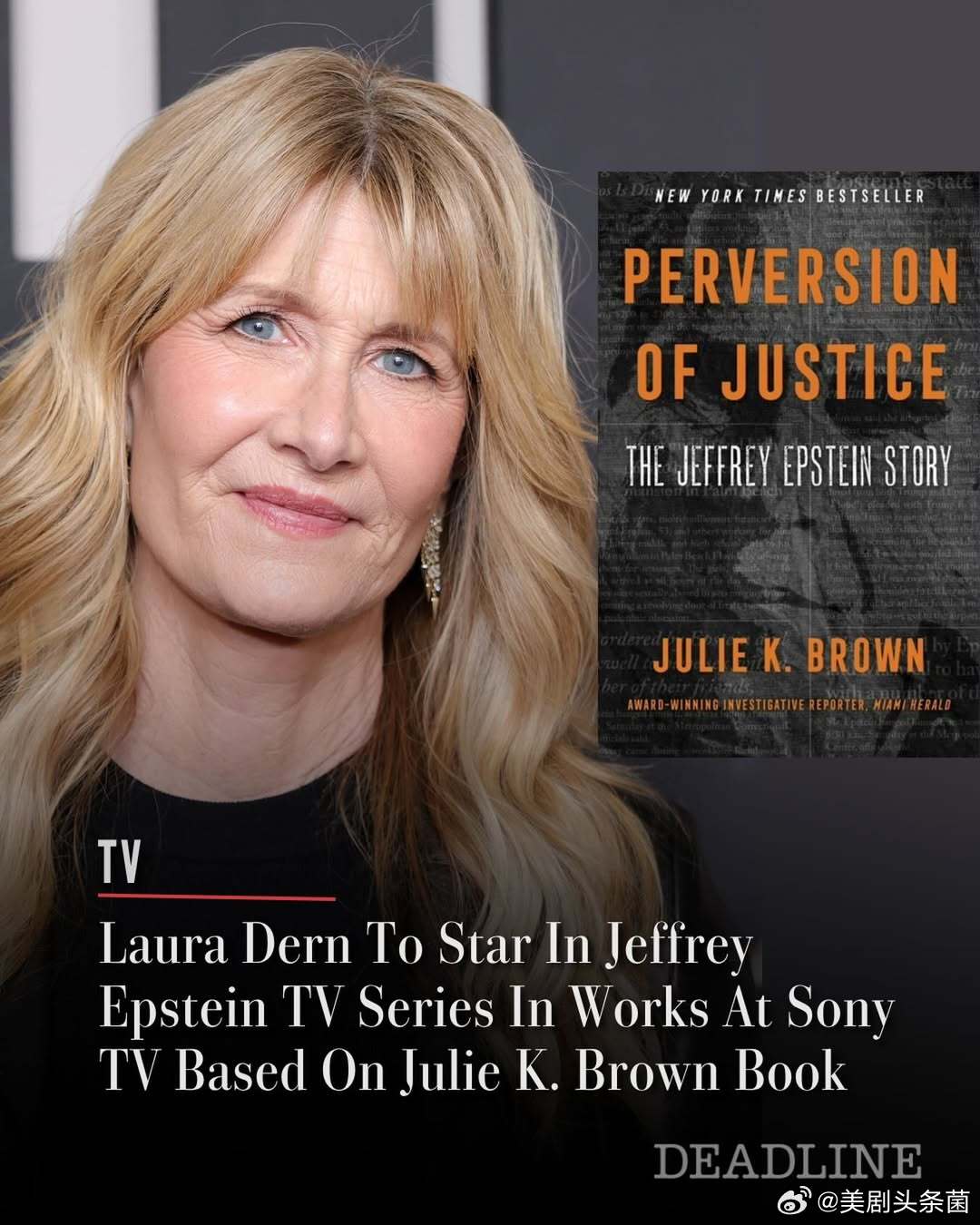 【爱泼斯坦调查改编剧集】索尼将开发限定剧《正义的扭曲》（Perversion o