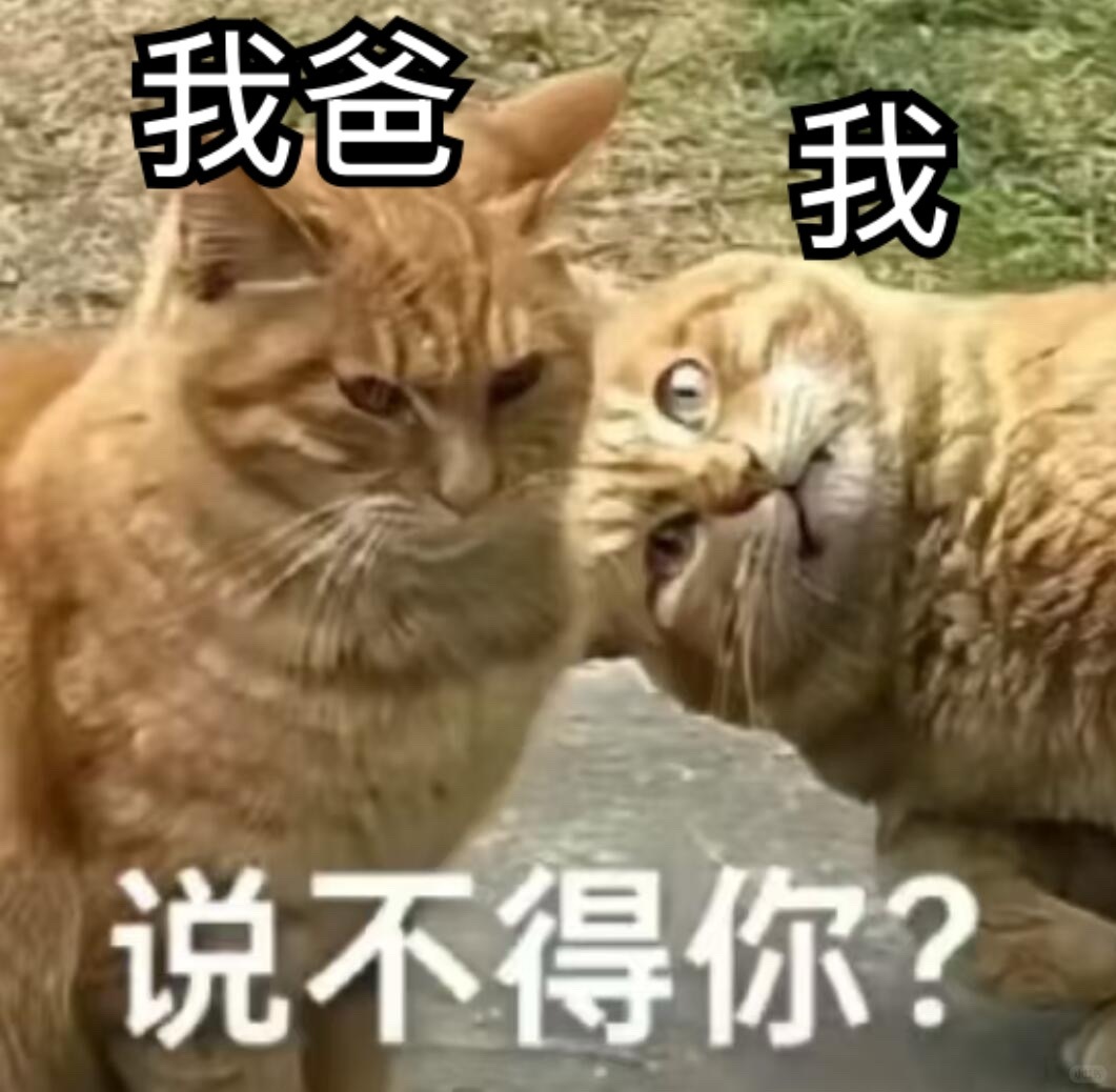 我爸我妈晚上吃多了说要出去散步，我在家打游戏打着打着我听到打雷了，给他们俩发微信