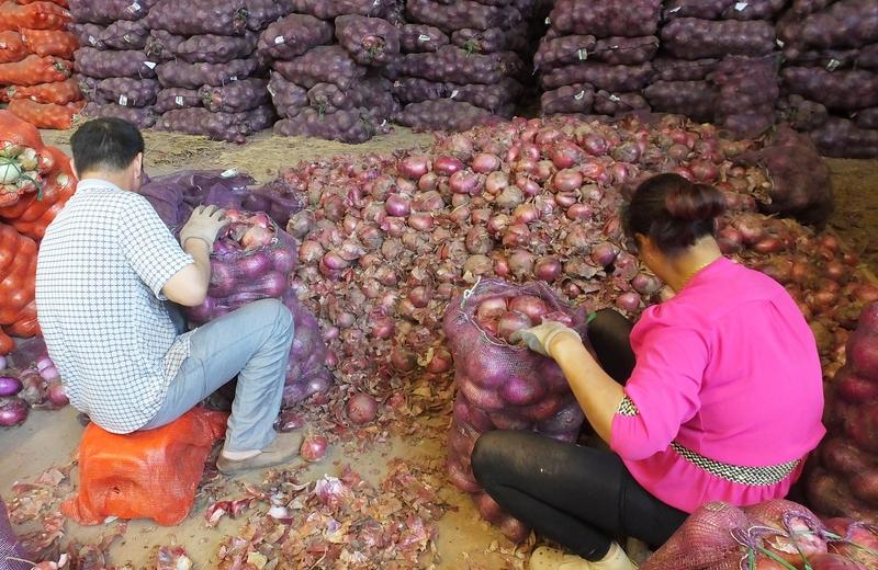 “心脏支架？我菜市场五块钱一斤的洋葱也配？！”——医生一句“洋葱就是能吃的心脏支