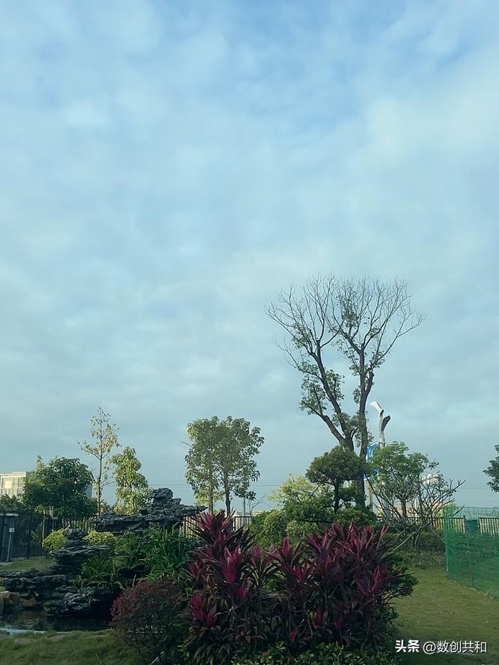 人活一辈子，金钱，健康，哪个重要那必须是健康，健康才是生命之本源。健康是人生路上