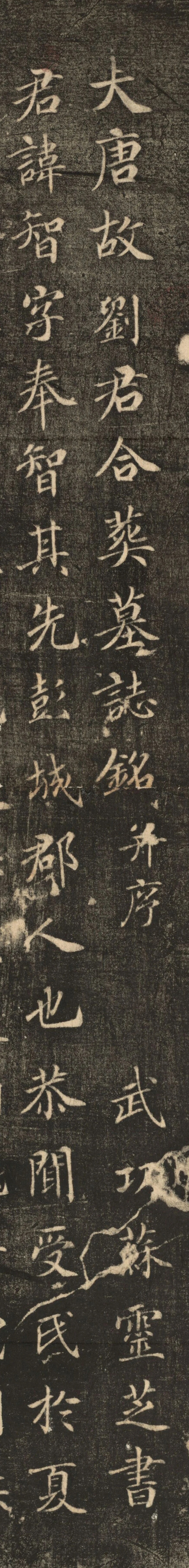 #书法字帖[超话]#苏灵芝《刘智墓志》，全称《大唐故刘君合葬墓志铭并序》行楷，清