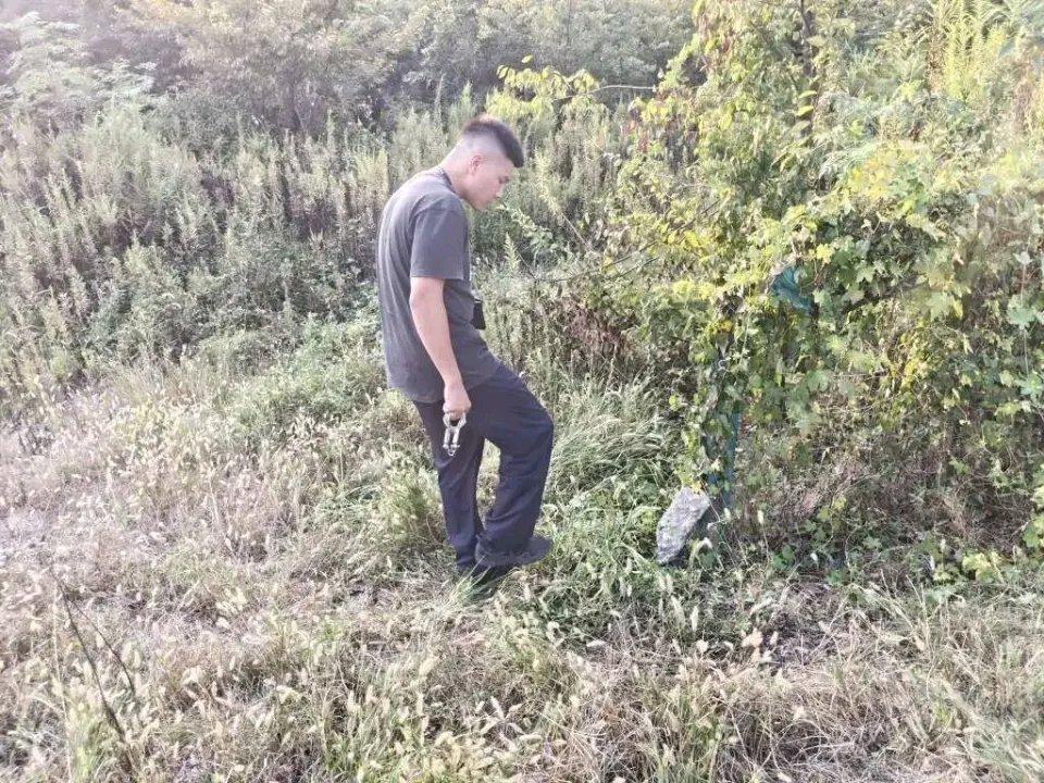 浙江嘉兴海盐的小何姑娘被“短视频教学课程退费”骗了，竟把11万现金藏在草丛，还拿