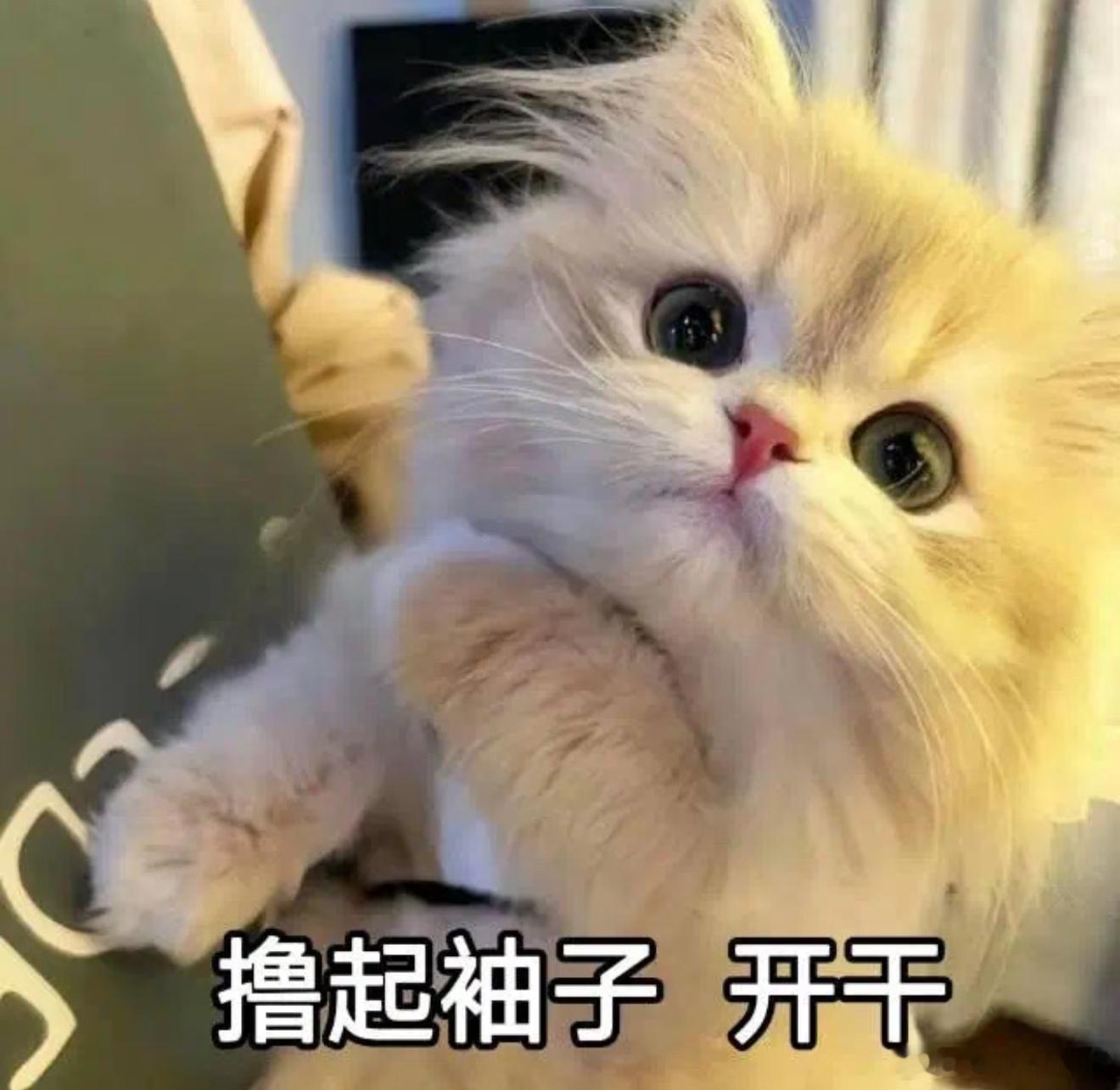 南昌佛得角老板回应意外走红世界杯场外最大幸运小店诞生！店名沿用二十年无心插柳一夜