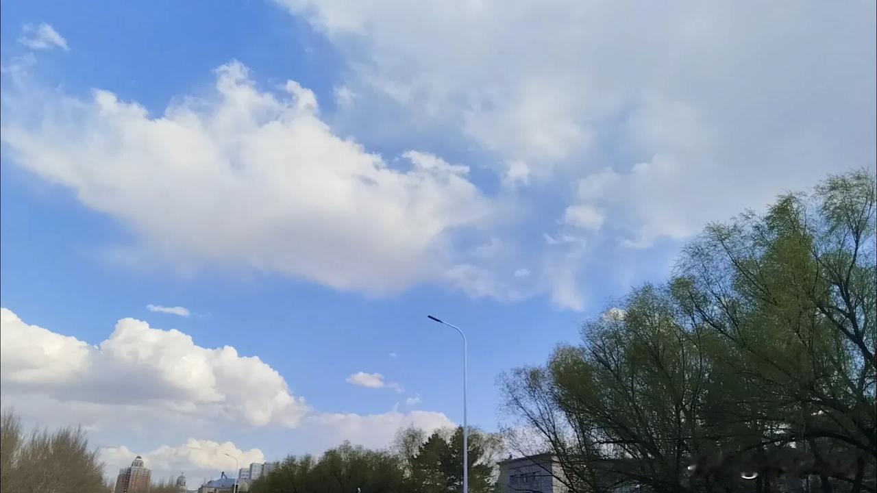 一张图证明春天来了