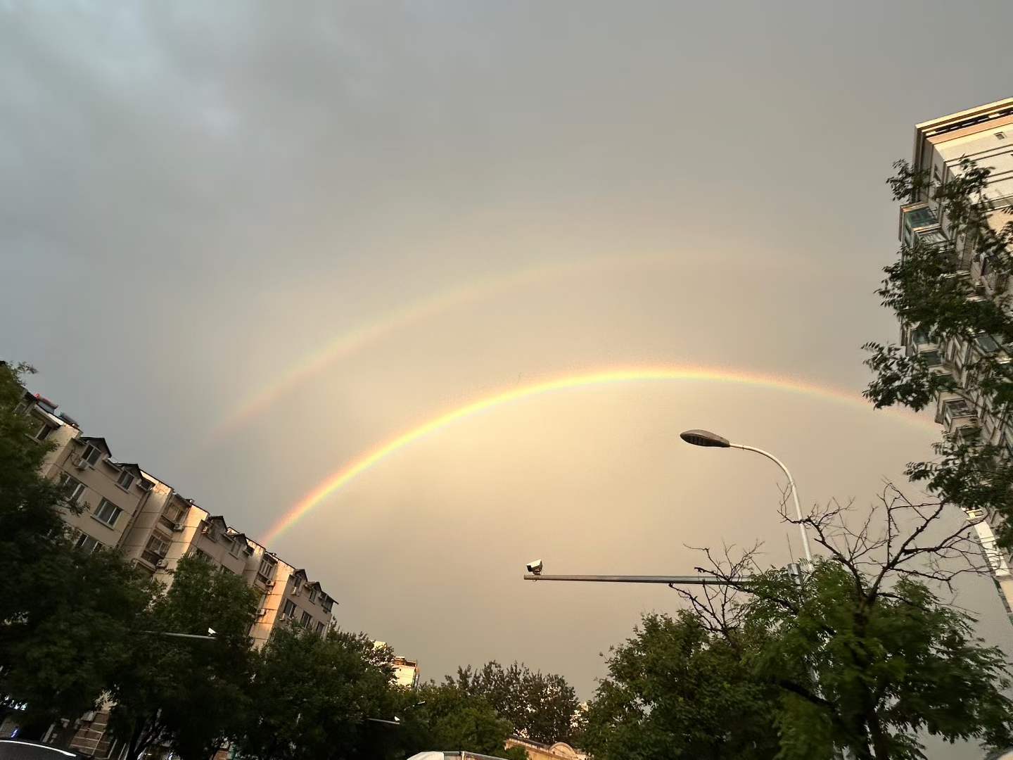 北京大雨 斯人若彩虹，遇上方知有。 