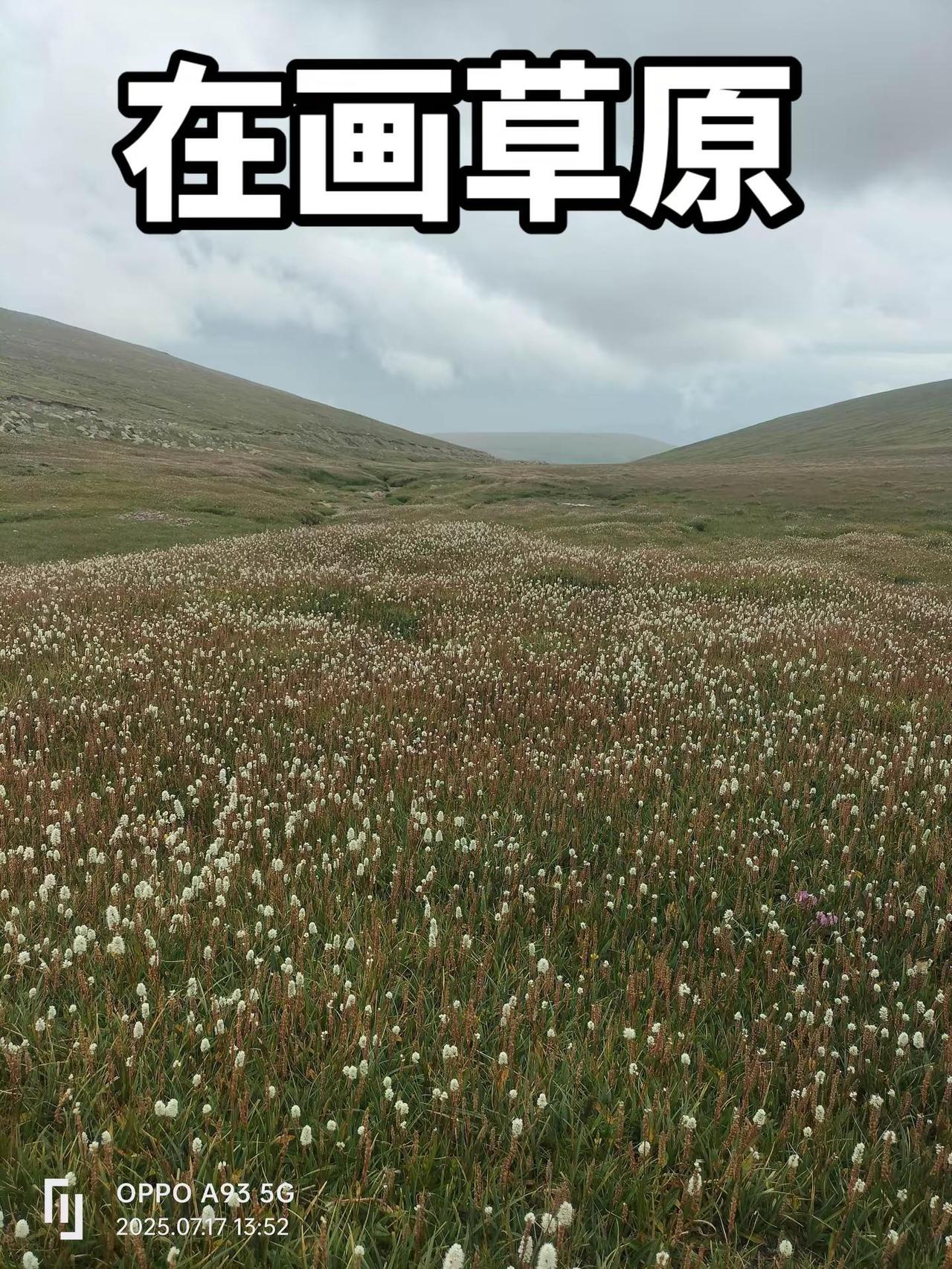 一个西瓜创作的原声，一首好听的歌，请大家欣赏