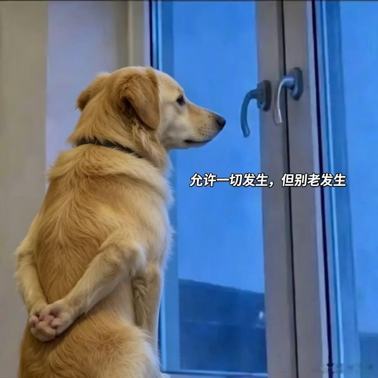你对手机涨价脱敏了吗我个人表示根本脱敏不了一点！现在啥啥都在涨价，唯独工资纹丝不