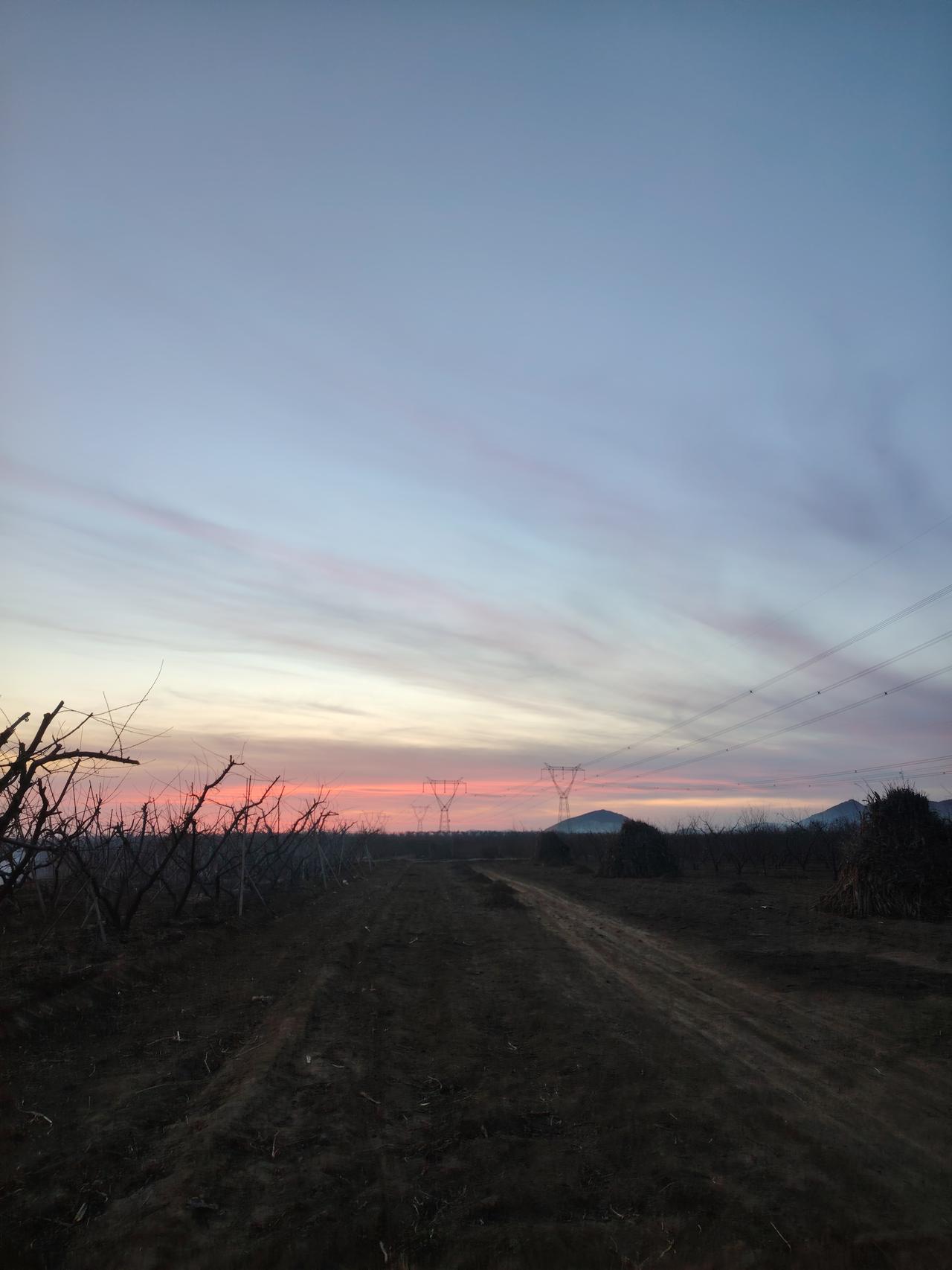 夕阳下的田野，静谧而美丽。