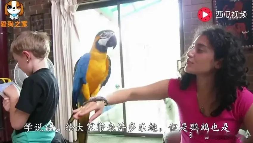 生活中总有不少人与萌宠之间的暖心趣事，总能不经意间戳中大众内心柔软的角落。一只调