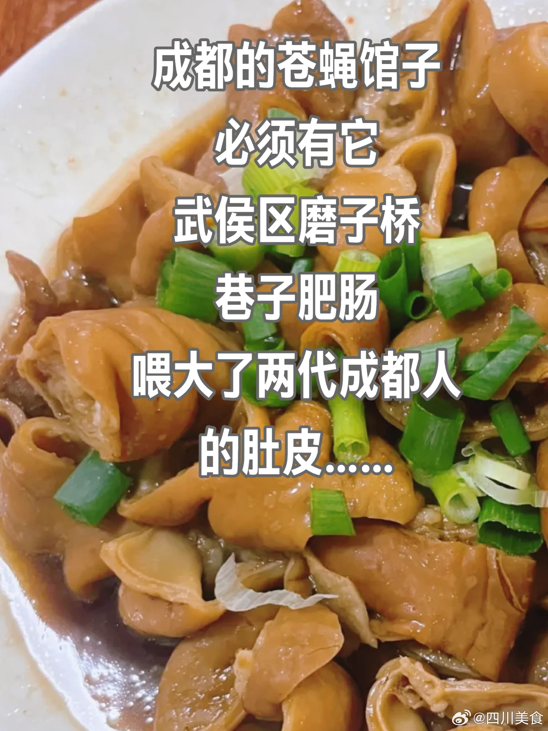 成都美食推荐·巷子肥肠·巷子肥肠，名副其实巷子里，正宗苍蝇小馆，长条形的店面，最