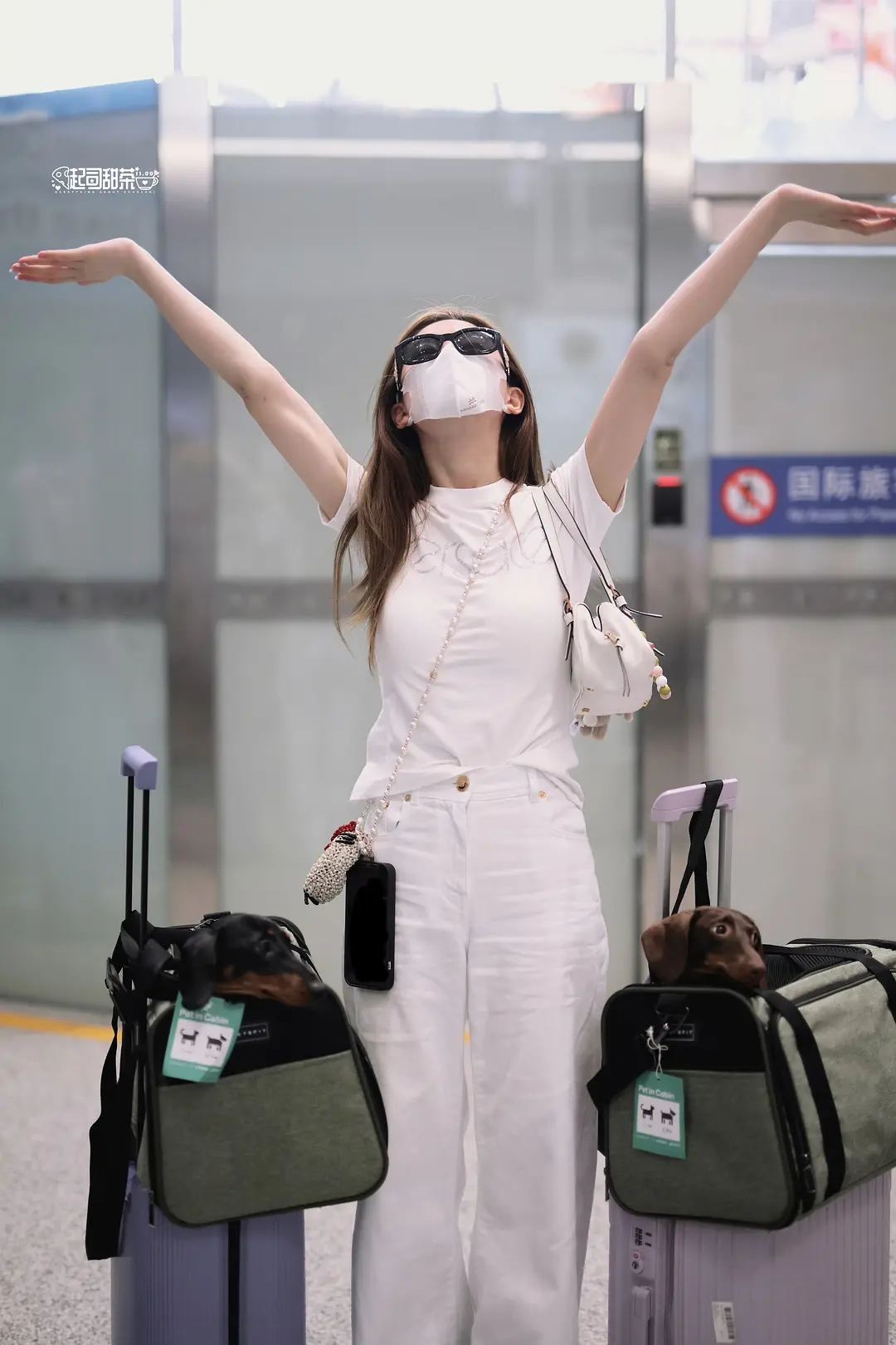 赵露思的狗狗只是她的时尚单品罢了 ​​​