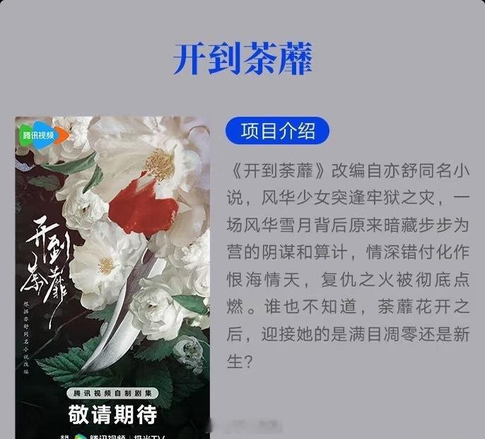 🍉《开到荼蘼》主演暂定白鹿、彭冠英、常华森，很明显改编成复仇本了，滕是复仇的对
