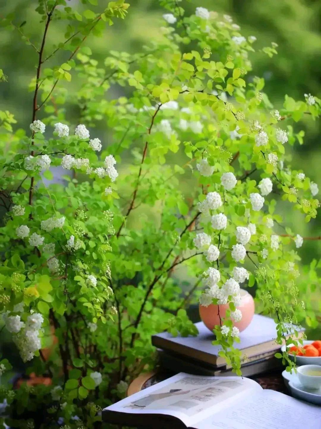 “不言老，要服老；多达观，去烦恼；勤用脑，多思考；能知足，品自高；勿孤僻，有知交