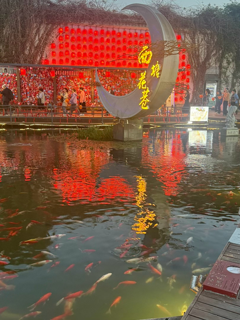 每日一善  💫阳光信用  💫每日一善       人生是一种无法抗拒的前进。