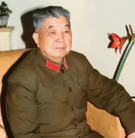 1953年，西康军区司令员刘忠，得知母亲和原配还在世，便携现任妻子回乡，当他看到