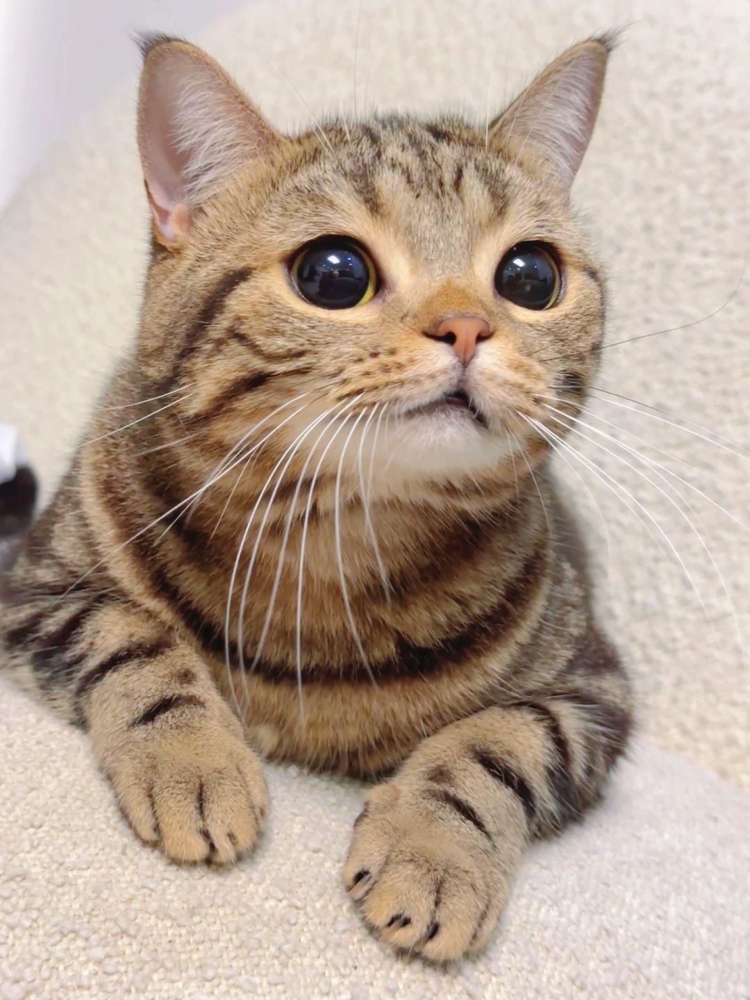 我发哪张图跟老板请假可以同意呢？