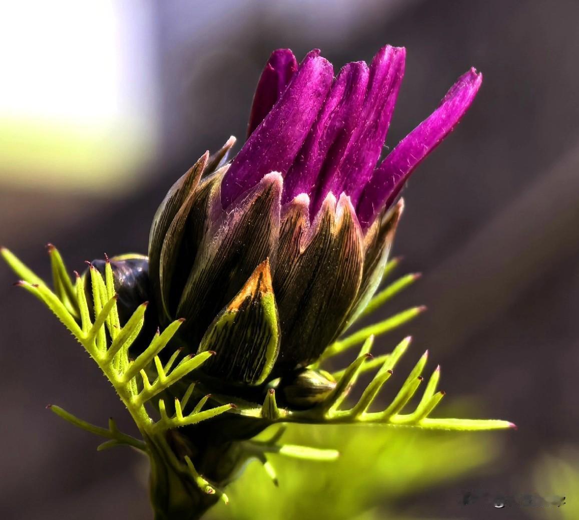 过日子，别让舍不得，拖垮了生活
 
我今年将近五十，和妻子过日子完全两个模样。