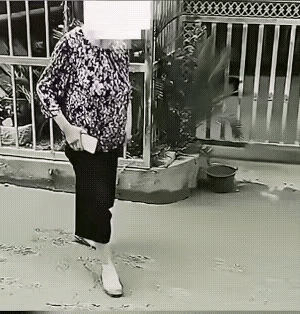 这个大妈如果没有精神病，那她可能就是想搞点恶作剧，看她在未干的水泥地上走出的无数