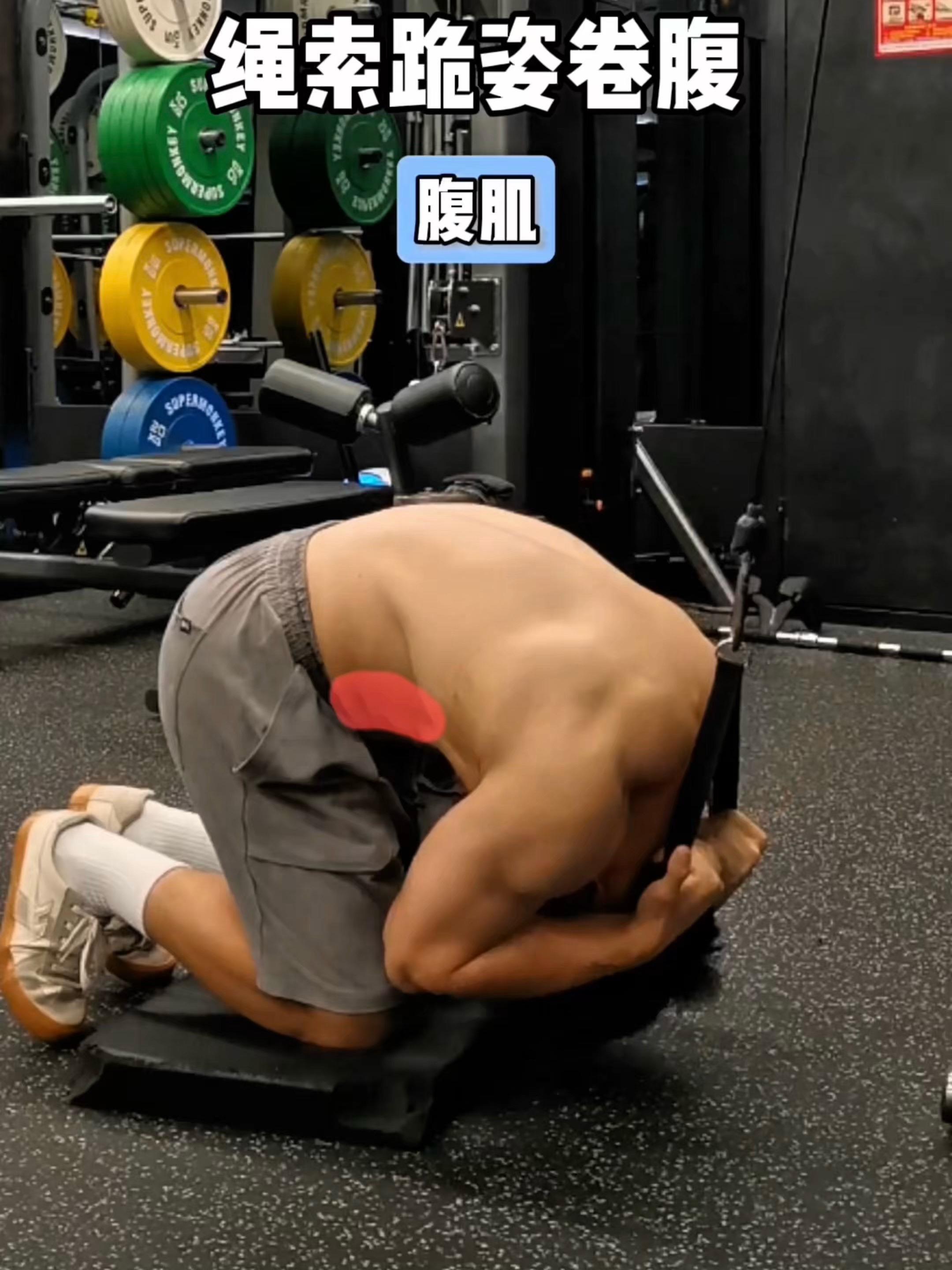 绳索跪姿卷腹，保姆级教程！ 一、目标肌群 绳索跪姿卷腹，腹肌 二、练前...