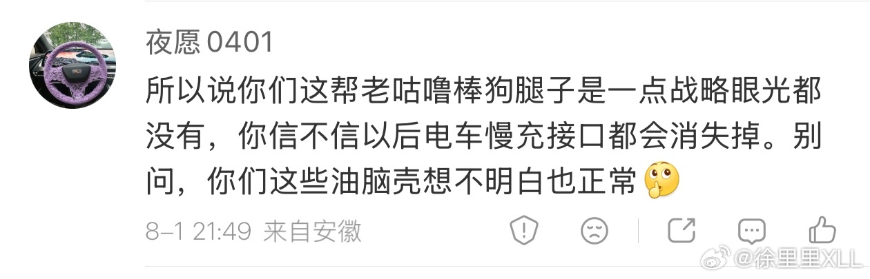 为什么这些人连家充都要反对？家充是最幸福的补能体验难道不是公认的吗？用家充充电，
