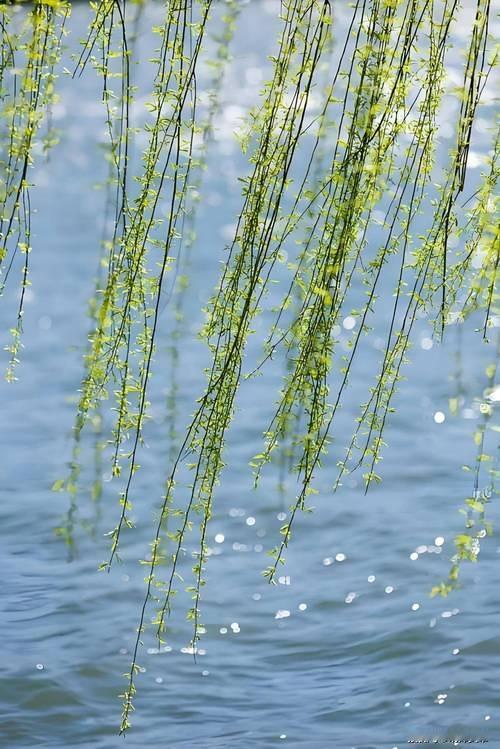 上联：柳岸絮飞风淡淡，
下联：枫林叶落雨潇潇，
下联：碧海云飘月皎皎。