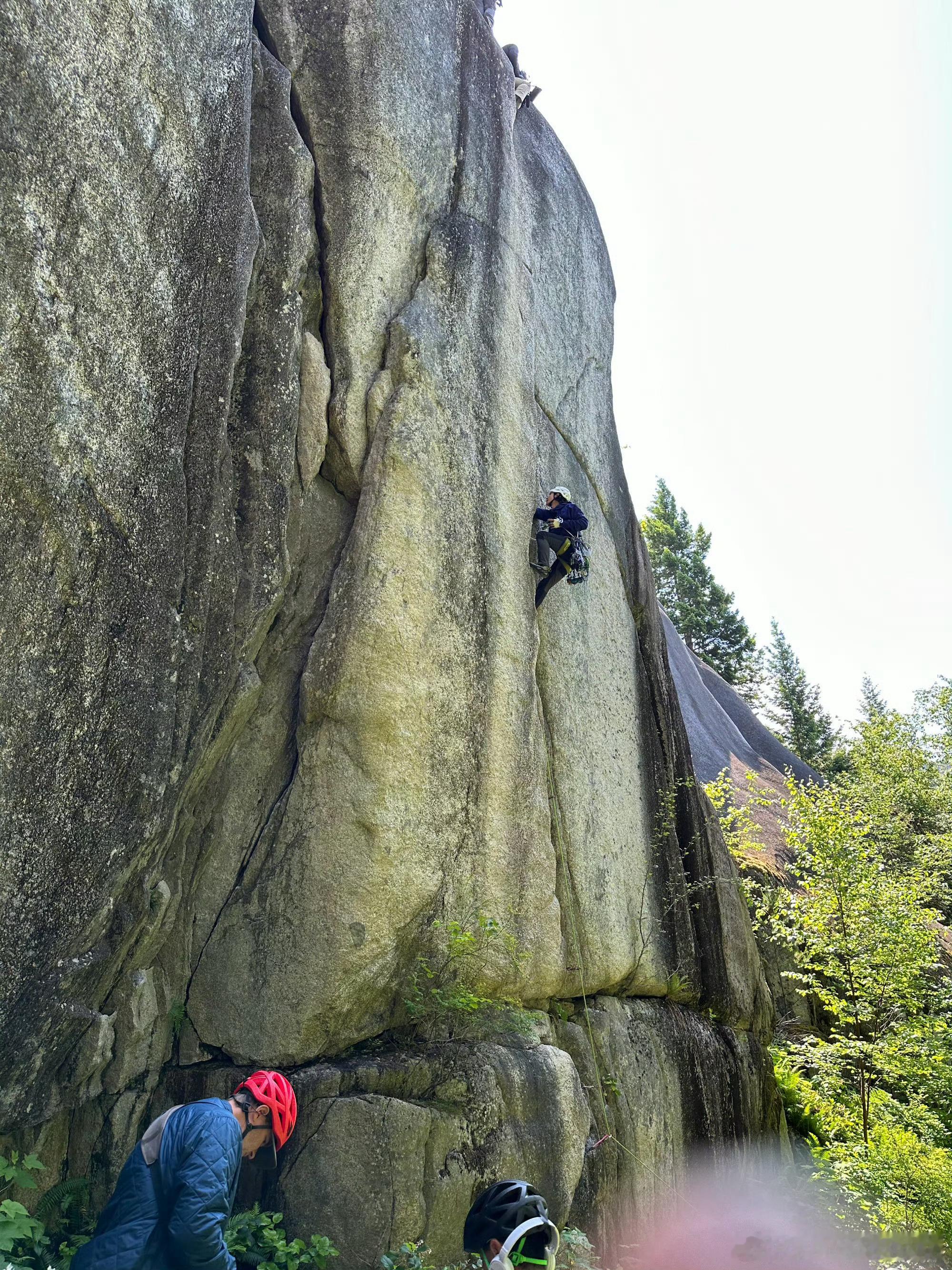 宣发  网页链接点自家  快速切🐭破万 脏东西直接咖 