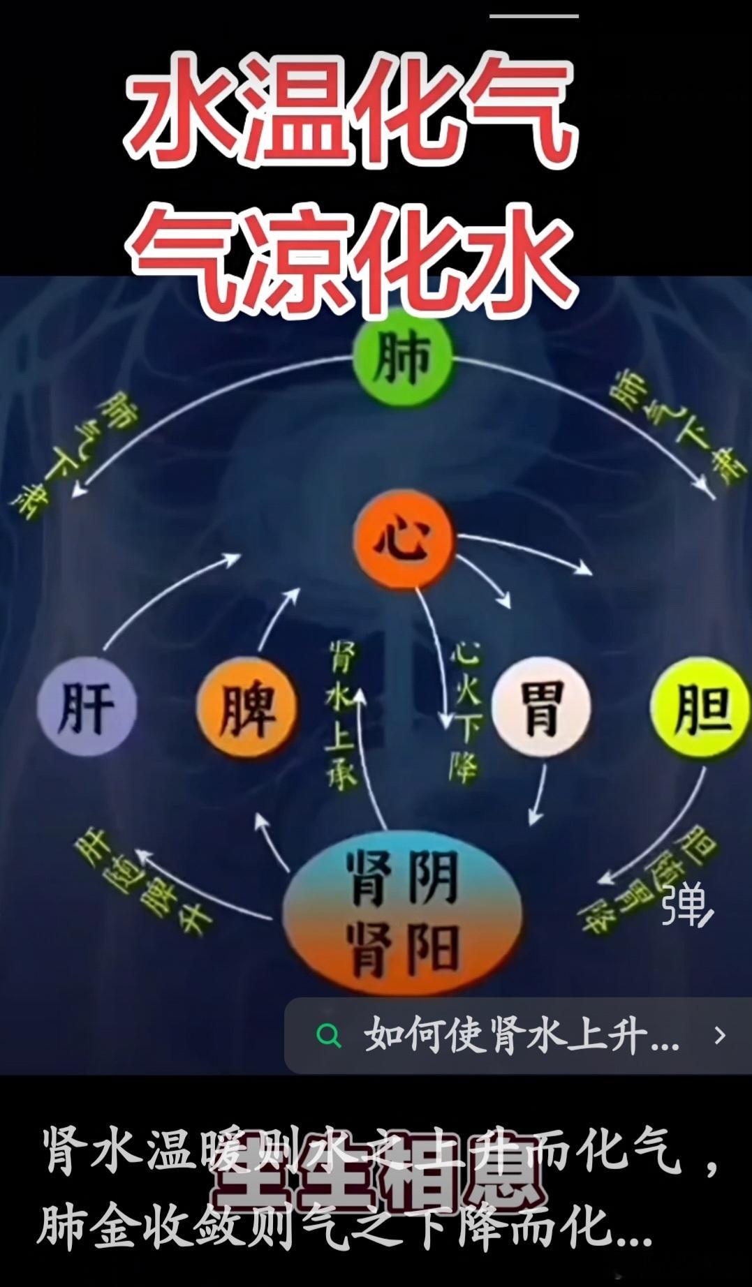 肾水温暖则水之上升而化气，肺金收敛则气之下降而化水，水气互换，气水交替，生生相息