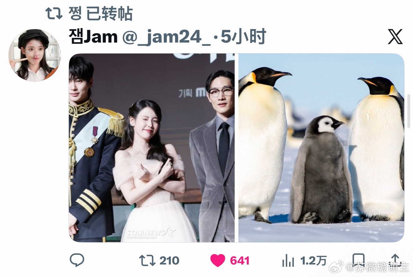 哈哈哈哈哈哈哈哈哈好可爱21世纪大君夫人