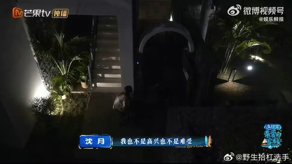 什么时候哭泣要被归训了谁规定成年人必须时刻绷住笑脸？沈月只是在连轴转的忙碌里，被