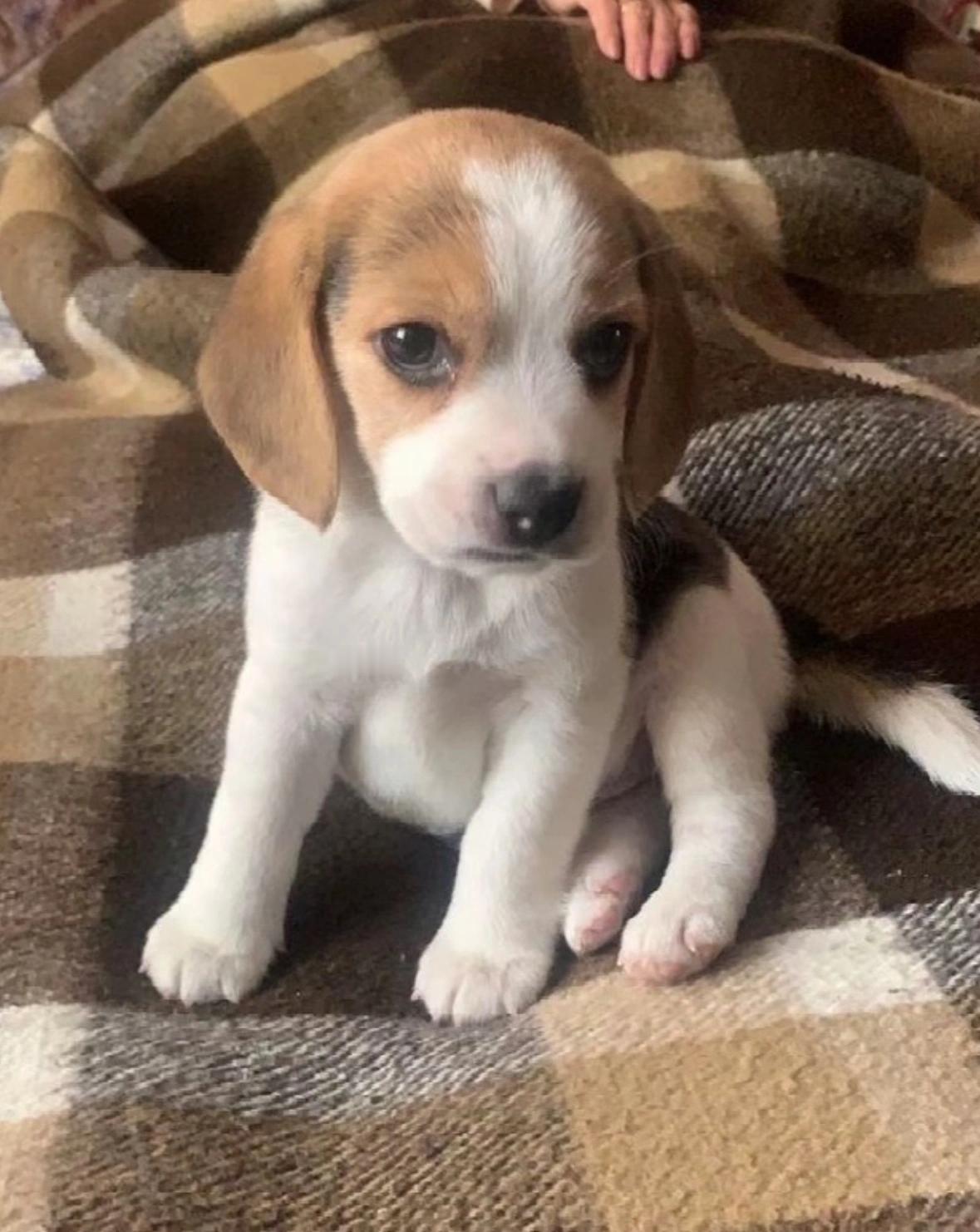 赏味期小比 ੯‧̀͡ ζྀི) 