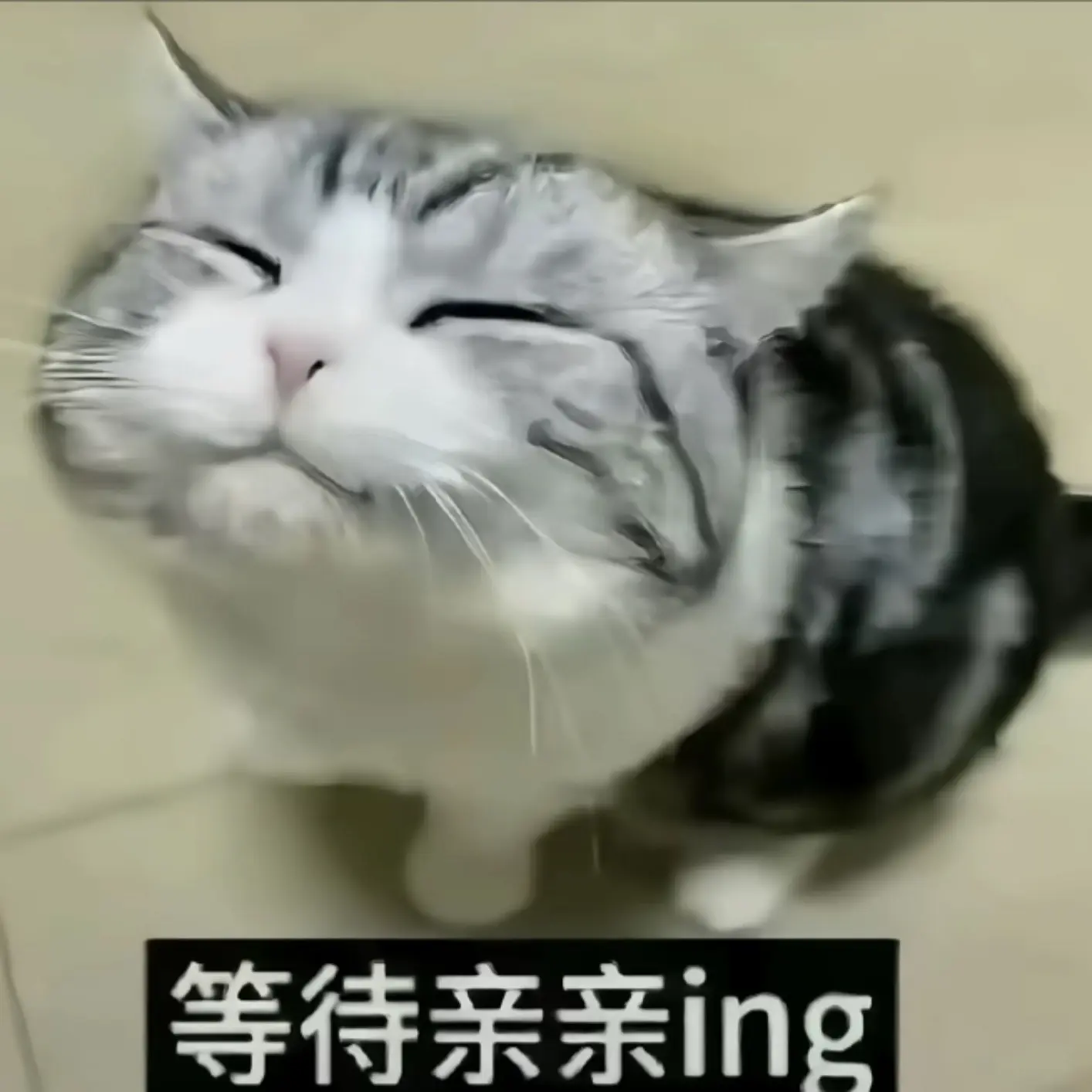 等待亲亲ing