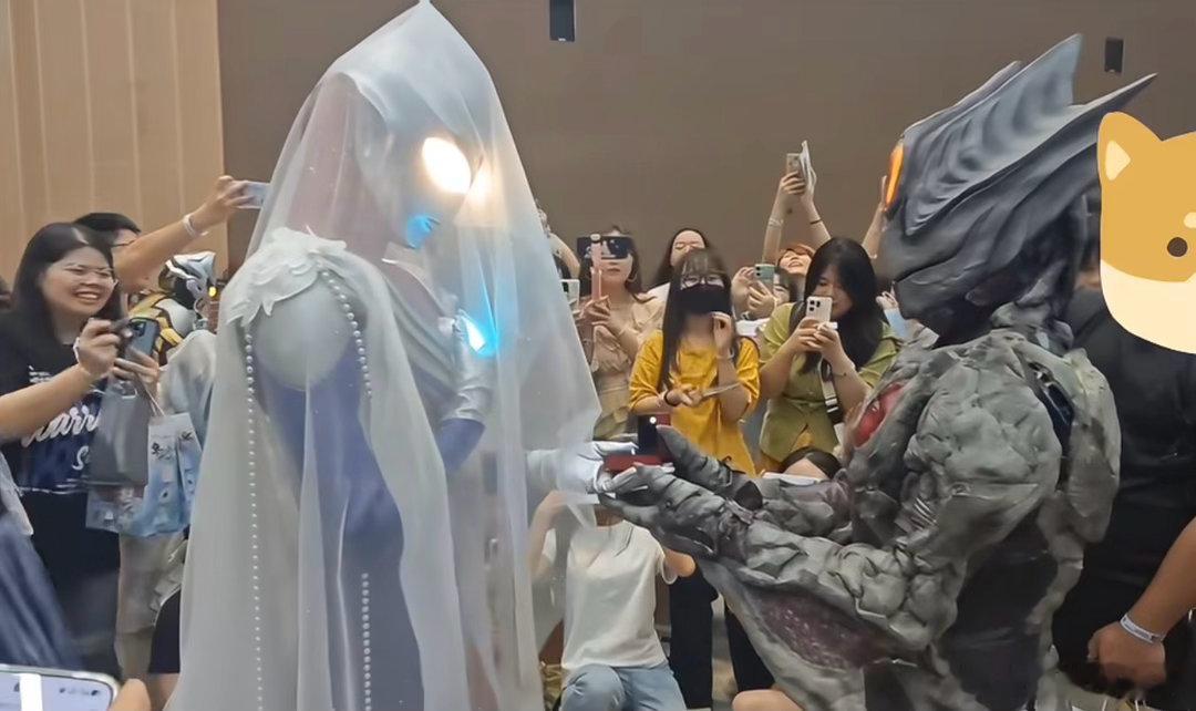 你们知道那个圈子有多阴吗？我刷到了基里艾洛德和迪迦婚礼。 