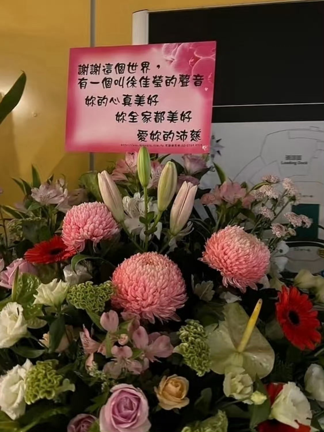 曾沛慈抓虫子好勇曾沛慈太可爱了，给徐佳莹的花篮上写着：“谢谢这个世界，有一个叫徐