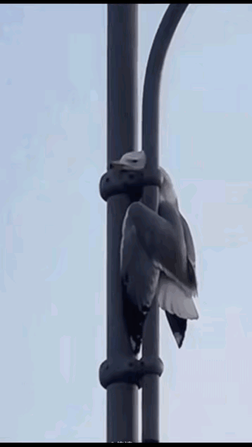 好人总会有好报！