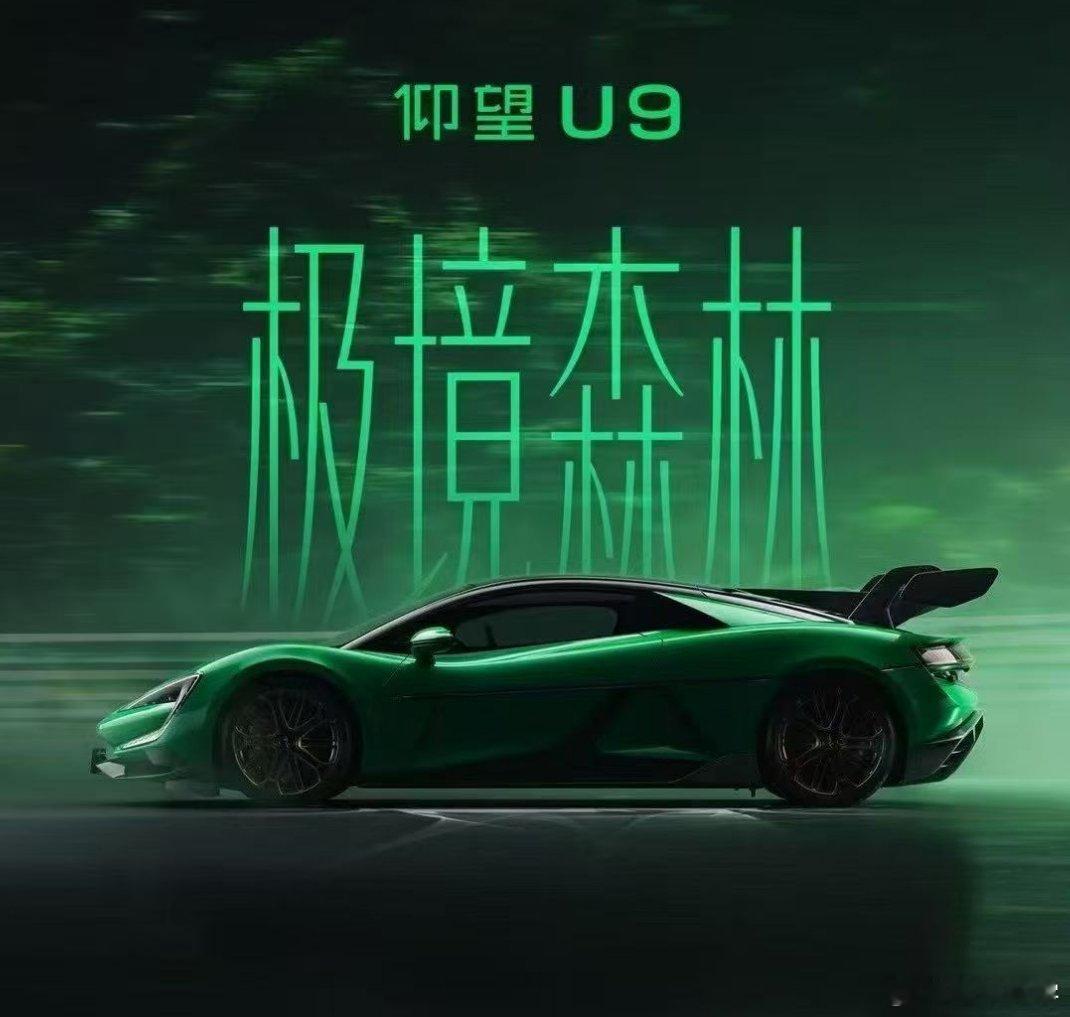 仰望U9  极境森林 “征服纽北"绿色地狱"的史诗级瞬间，车窗外的森林因极速而模