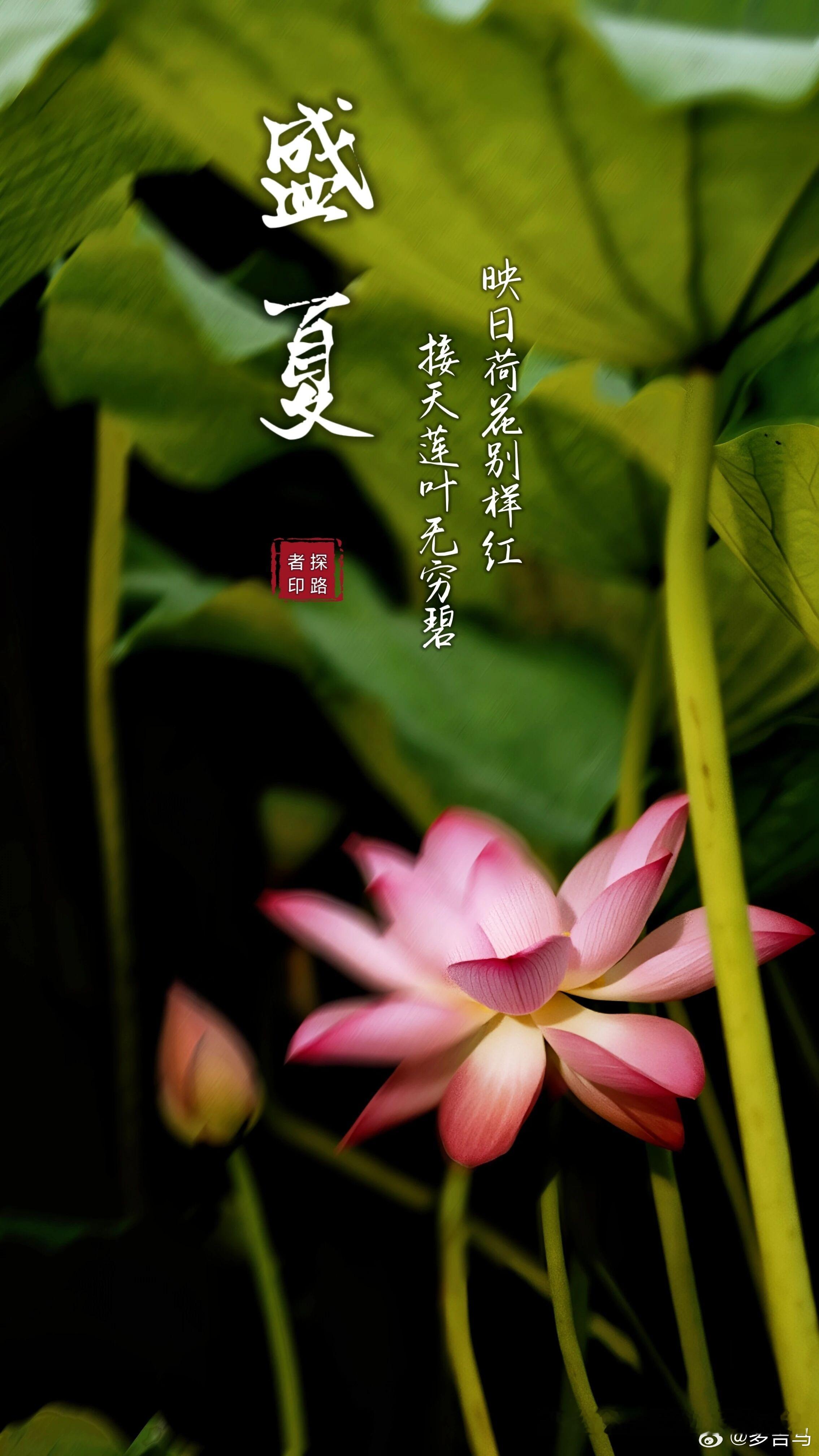 异性之间：无论跟谁谈恋爱结婚，你可以找丑的，找穷的，找矬的，找老的，找复杂的……