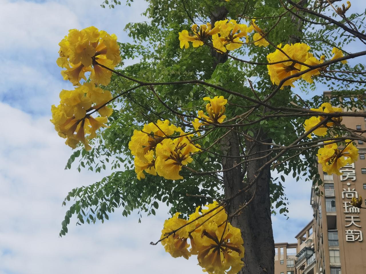 人生苦短别太拼，身体是革命的本钱

张雪峰英年早逝，让无数人惋惜。他的故事告诉我