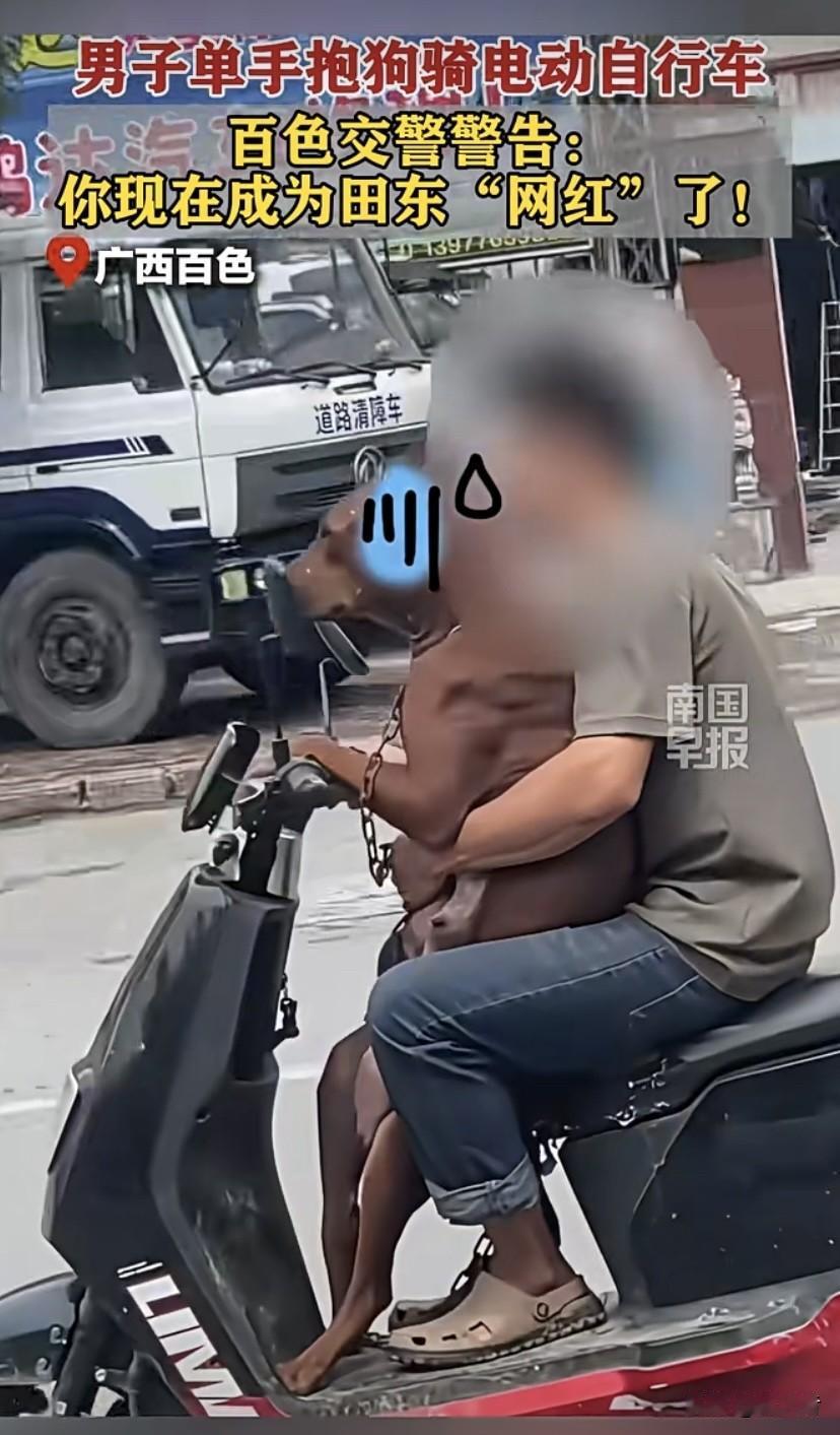 百色田东一男子单手抱狗骑电动车，一下成了“网红”，就像突然蹿红的网络明星。带宠物