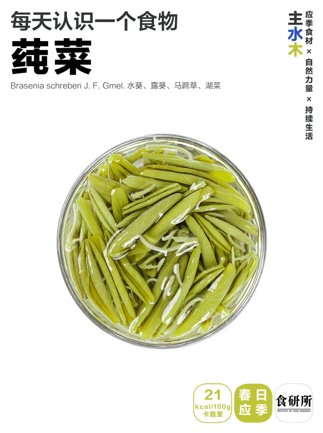 无味之味 | 春日纯菜