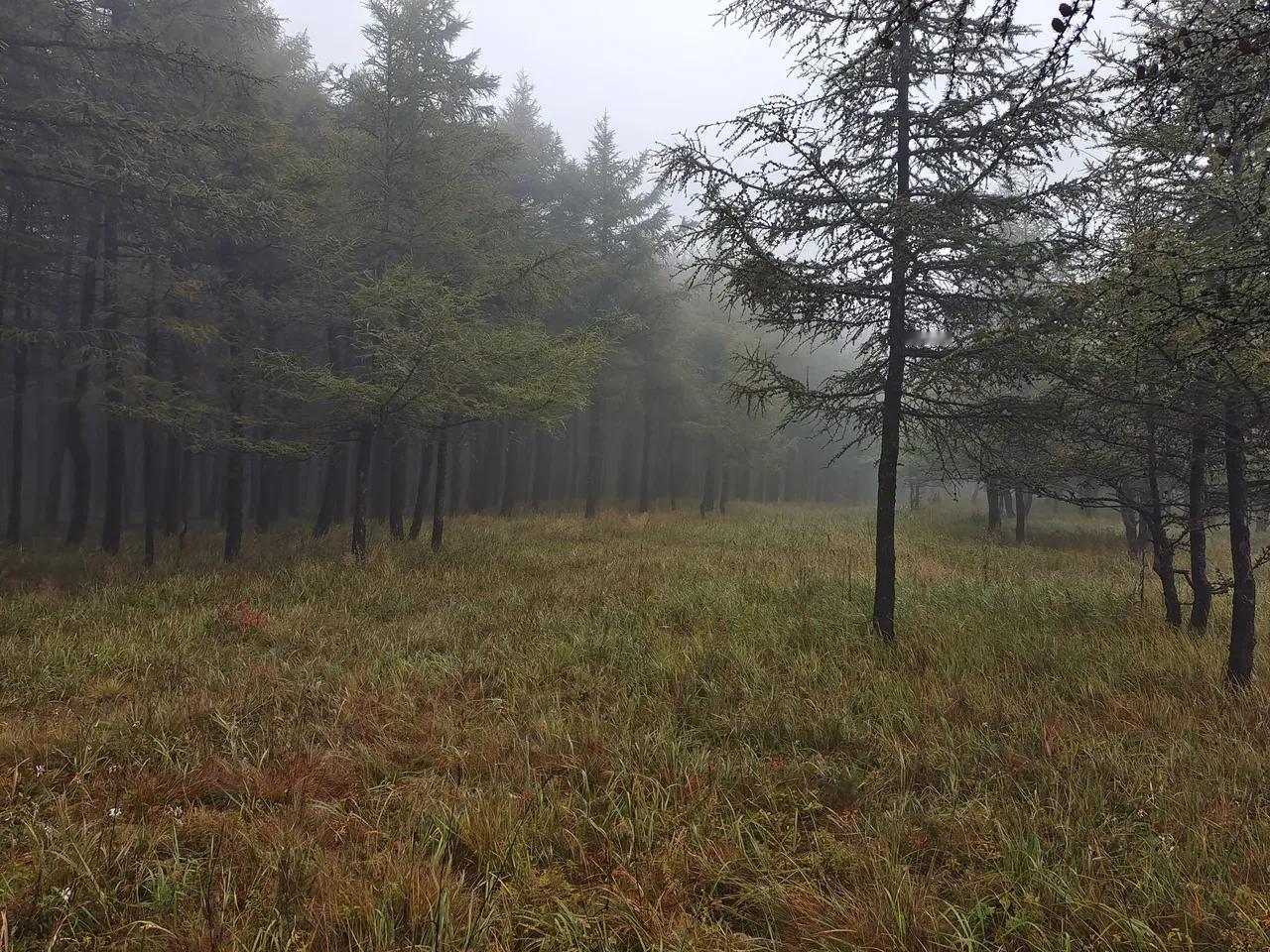 几张去年拍的哈达门森林公园美景，今年景区更火了。
去年九月中旬去的，当时天空中飘